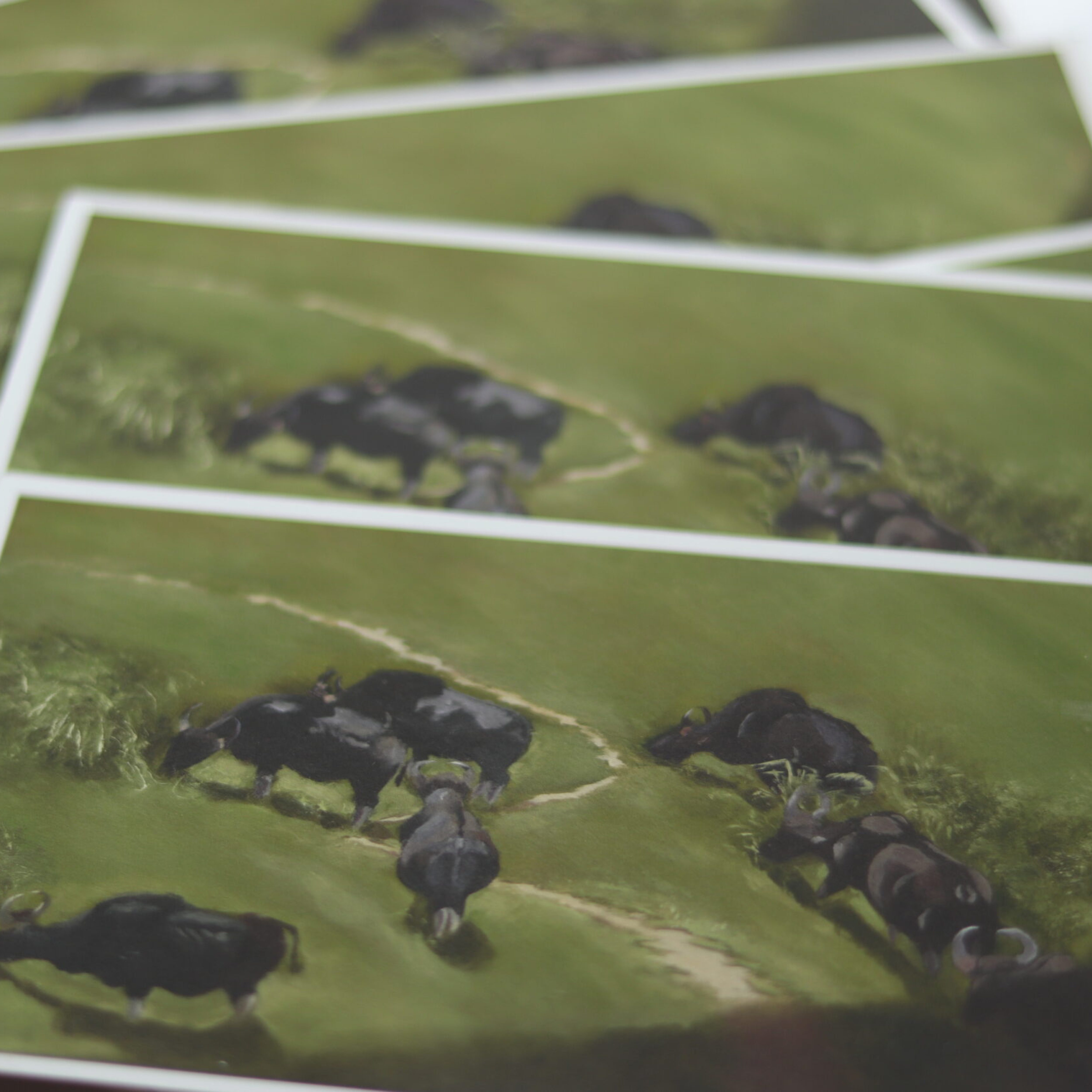 along the grazing trail mini print horizontal